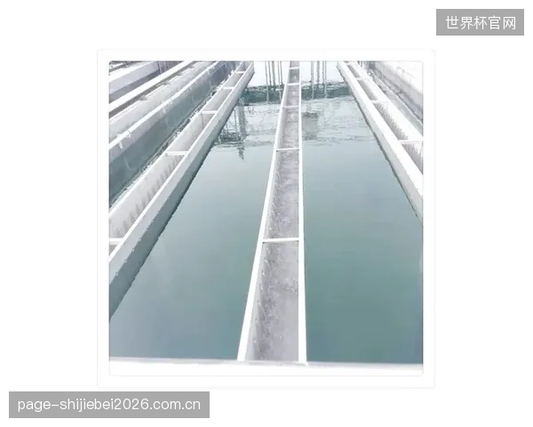 溢水槽的毫米级标定正在成为新标准，彻底淘汰依赖现场经验的传统施工逻辑